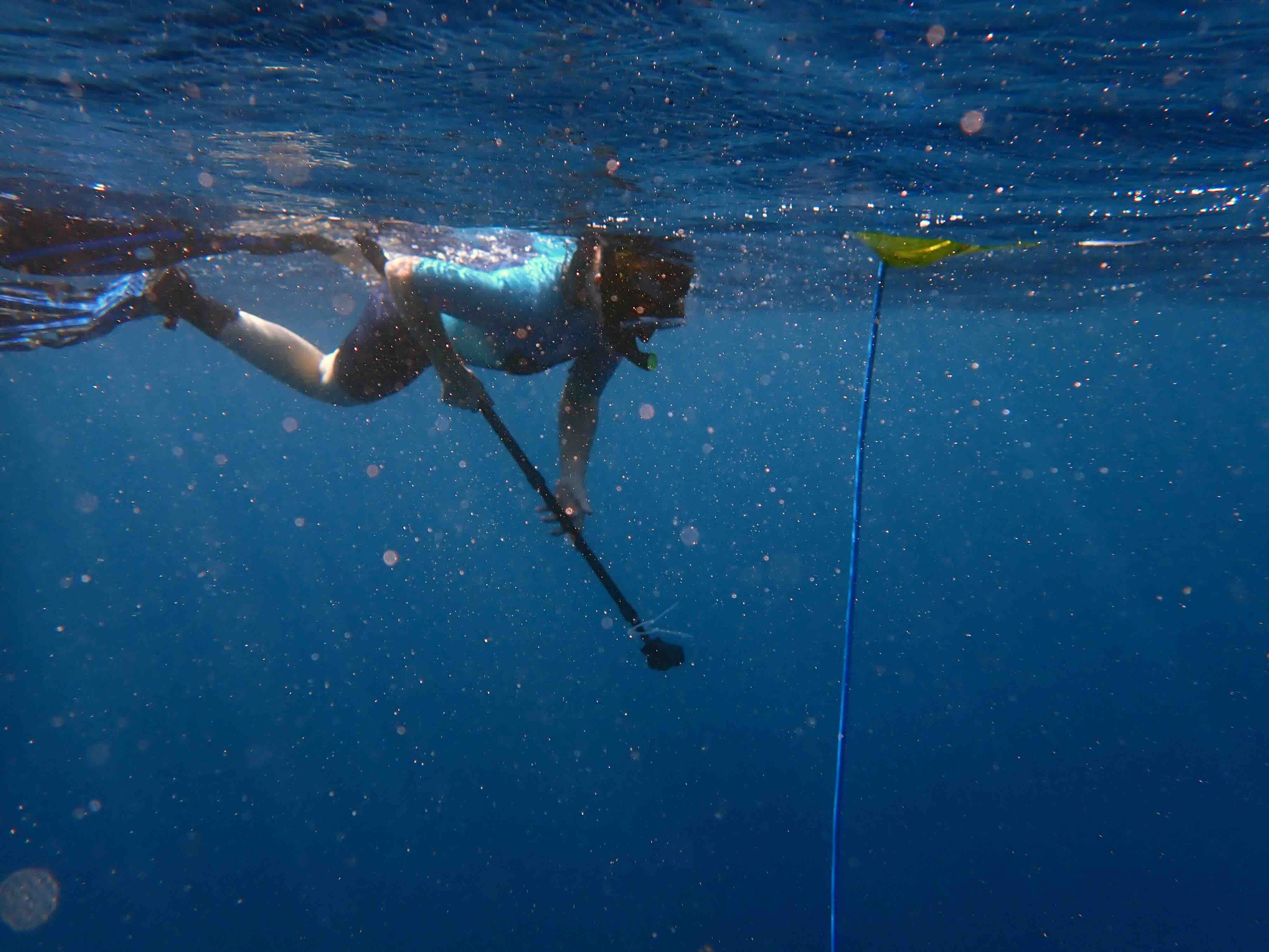 Call from the Edge: Under Water