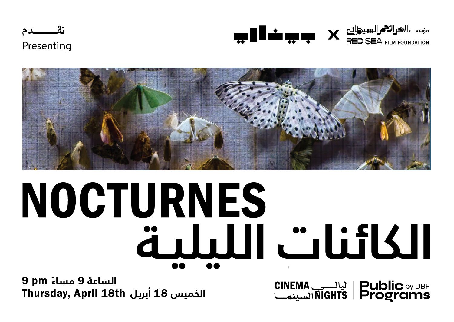 Cinema Nights: Nocturnes