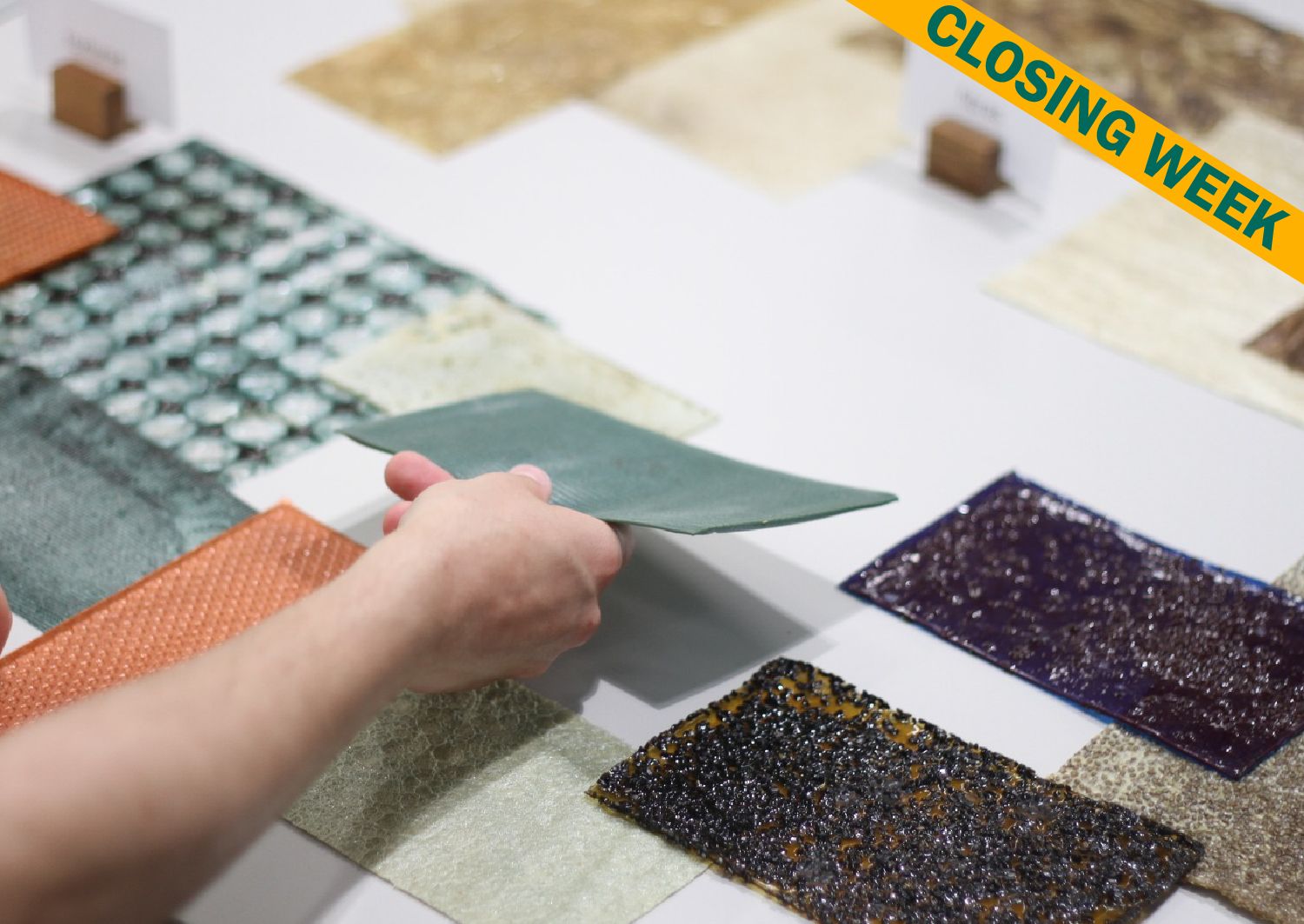 Biomaterials: Crafting Sustainable Textiles