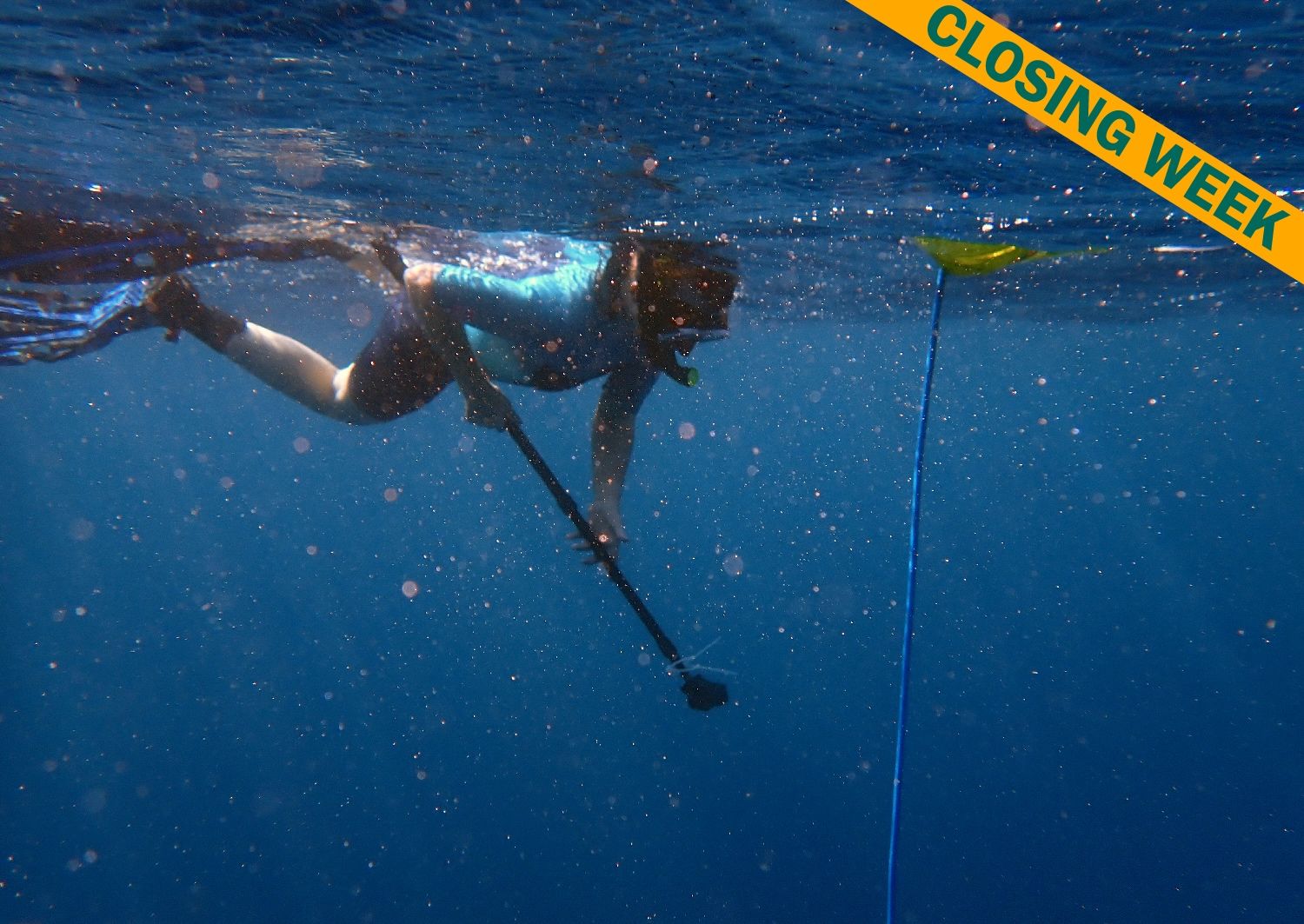 Call from the Edge: Under Water