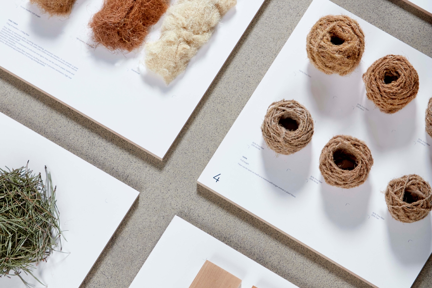 Craft Papers from Palm Fronds