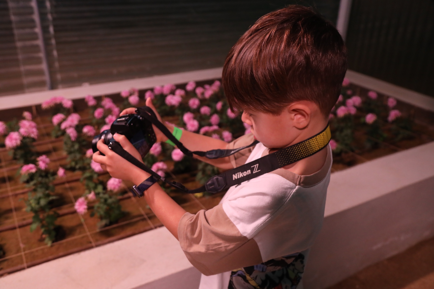 The Light Box: Build Ibn Al-Haytham's Camera