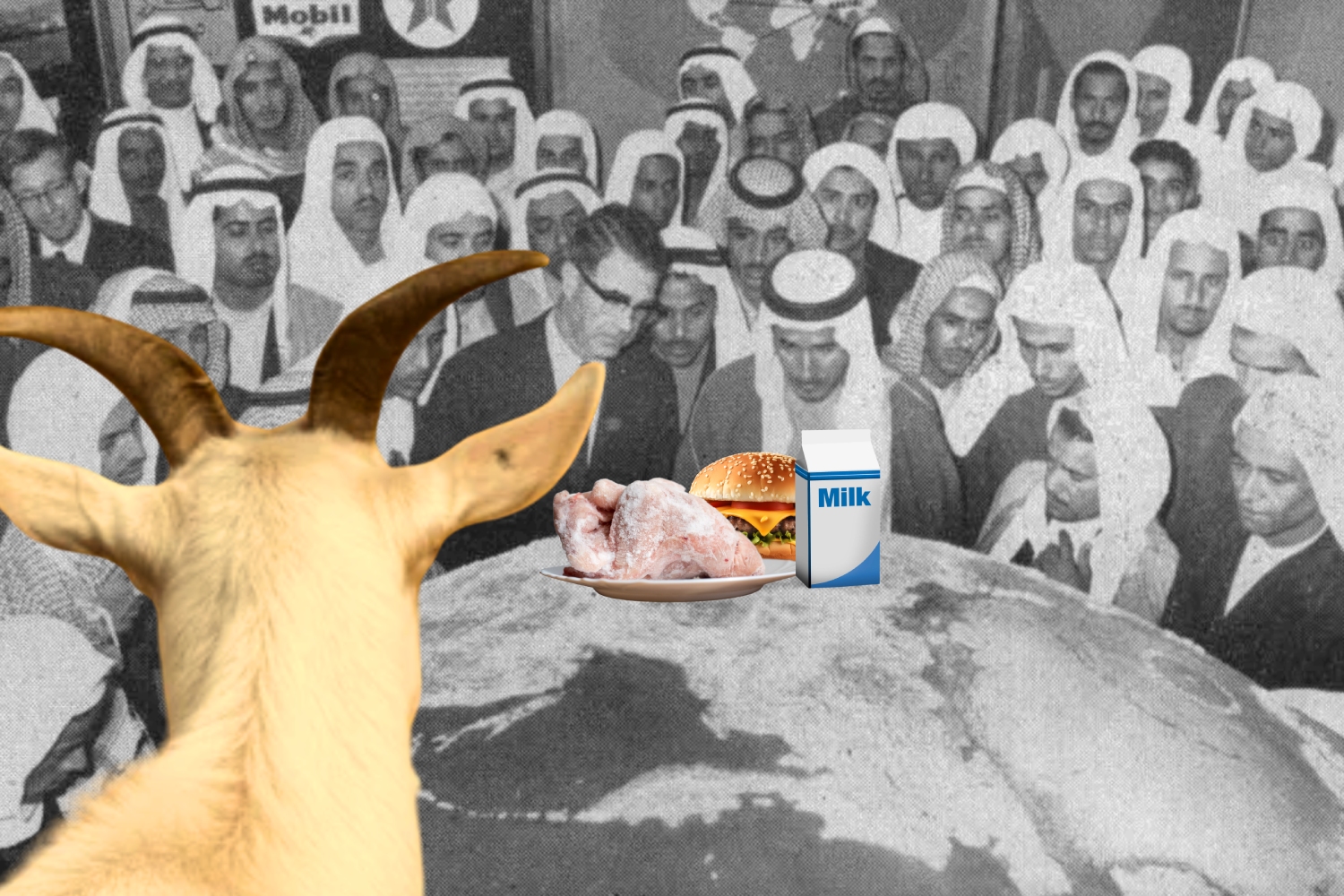 Traversing Lifeforms: A Conversation with A Goat - Lecture Performance